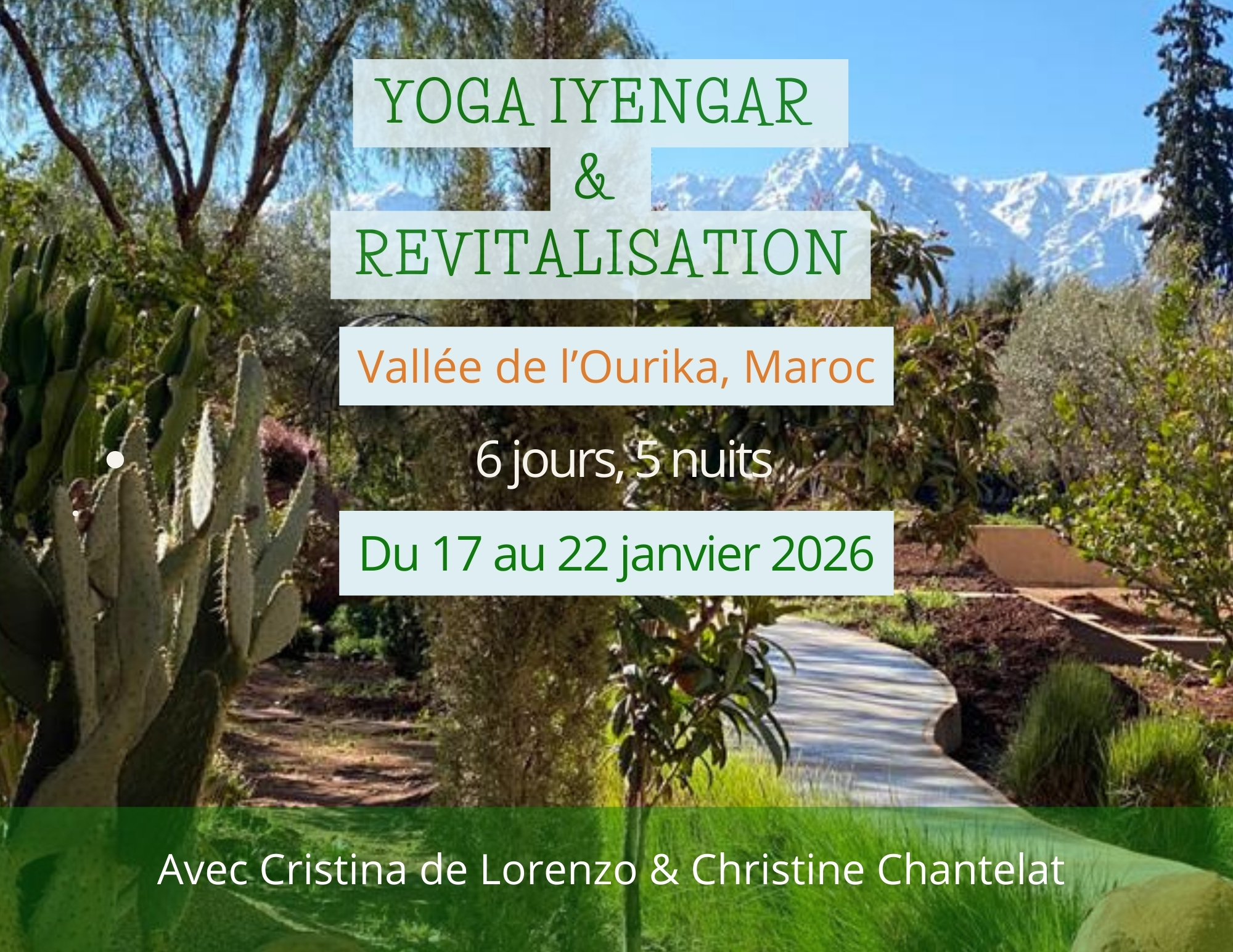 Stage Yoga et vitalité à Amorgos en Grèce en aout 2025
